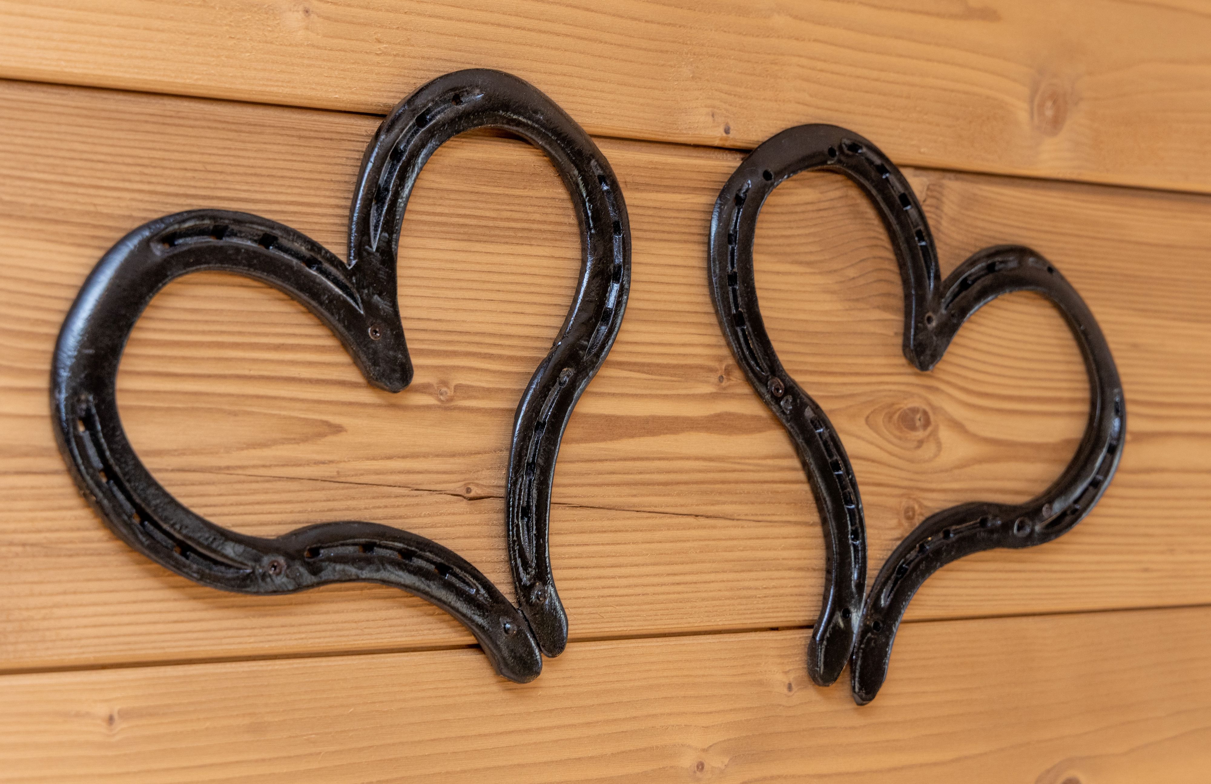 Appartements und Ferienwohnung in Ramsau am Dachstein - Tritscherhof